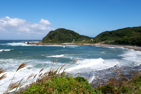 muna_oshima