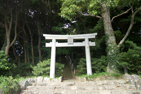 muna_oshima