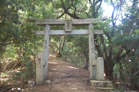 muna_oshima