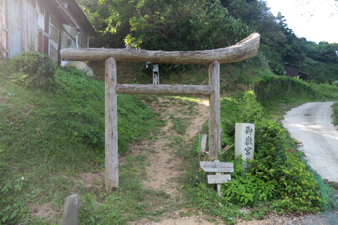 muna_oshima